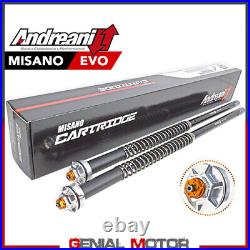 Andreani Adjust Misano Evo Hydraulic Cartridge Moto Morini Corsaro 1200 2008 08