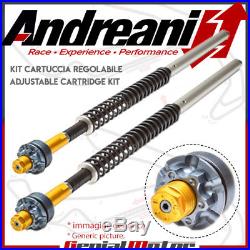 Andreani Einstellbare Hydraulic Kartusche Kit Moto Morini Corsaro 1200 2007 07