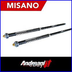 Andreani Fork Cartridge Kit For Misano Moto Morini Corsaro Avio 200811